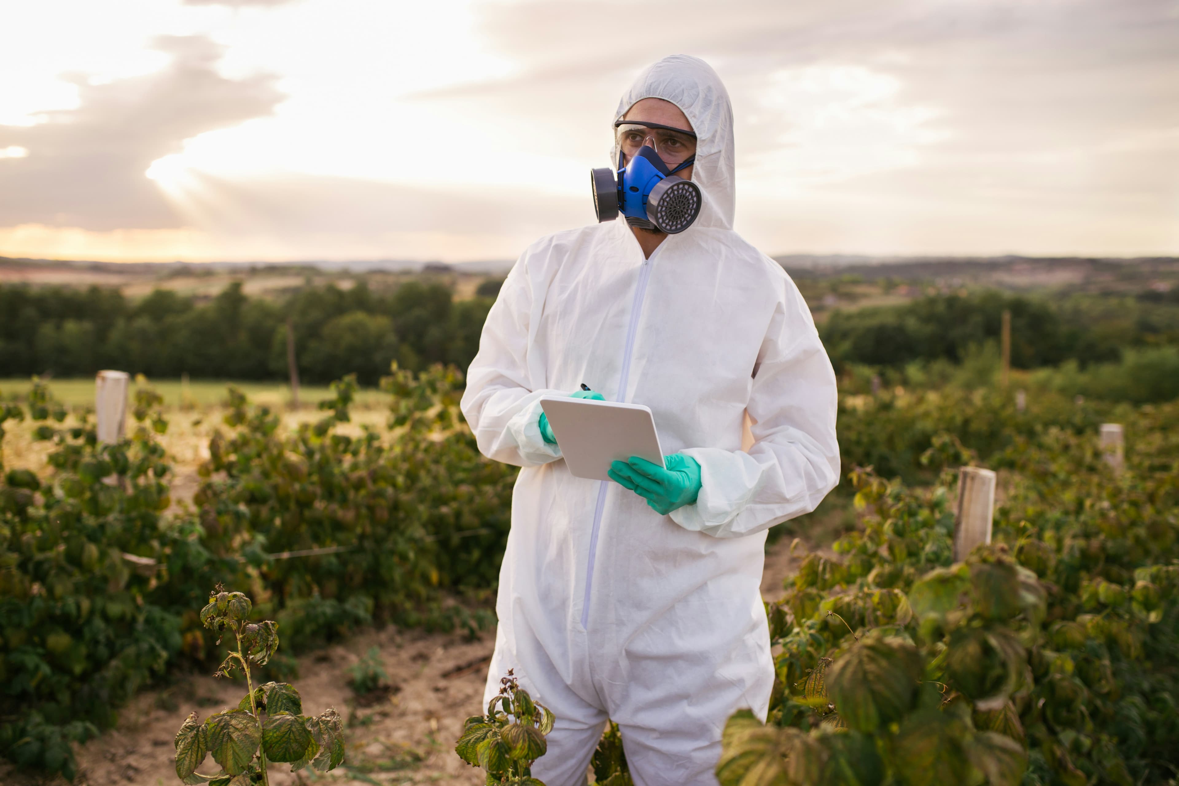 Field Inspector Mobile